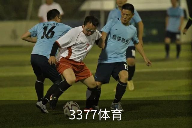 3377体育公司简介图片